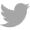 icono twitter