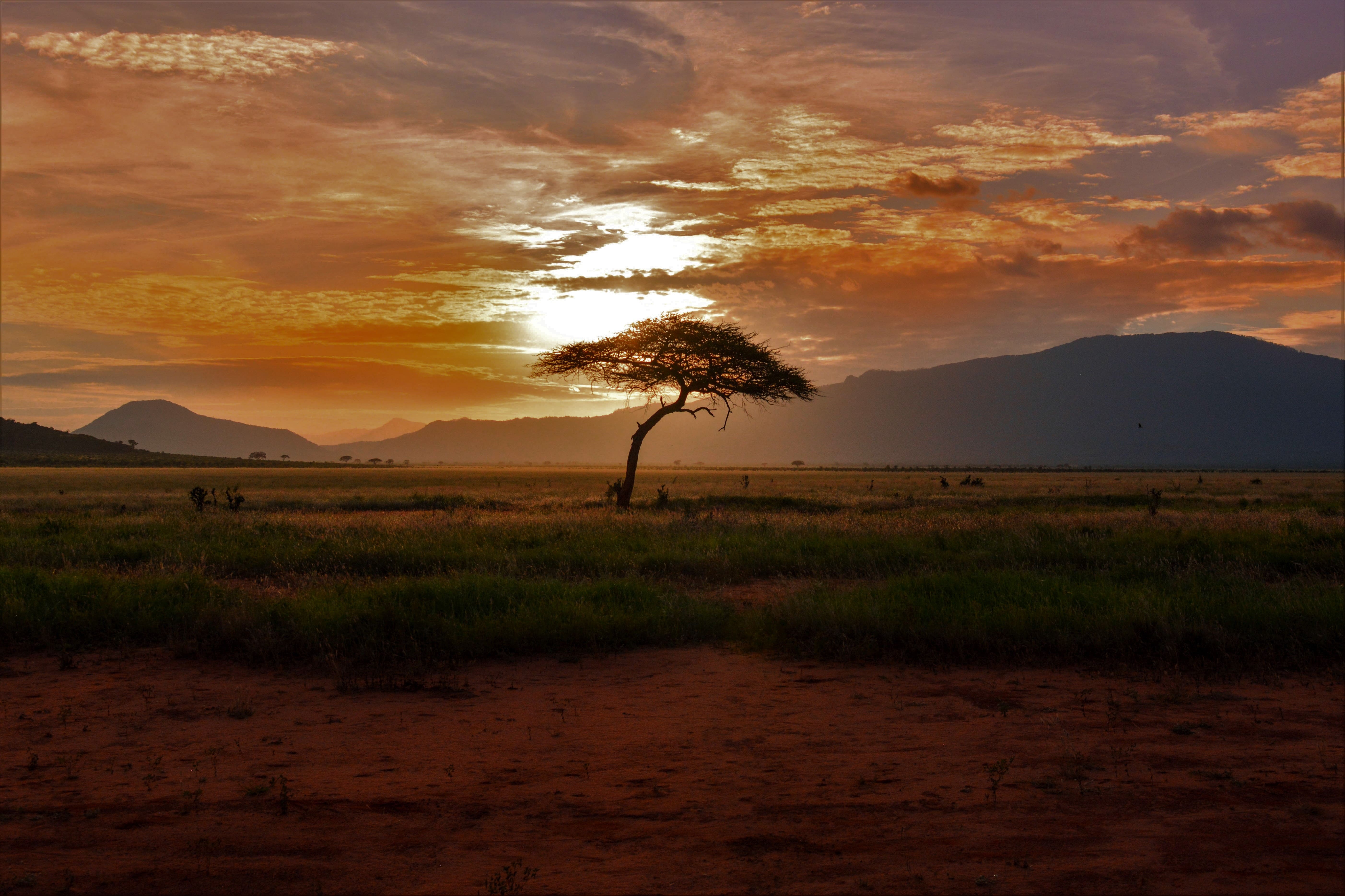 Destino Sudáfrica