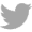 icono twitter